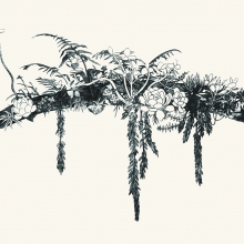 石蓮與玉串  2014  紙凹版 77x112 cm-大美無言藝術空間